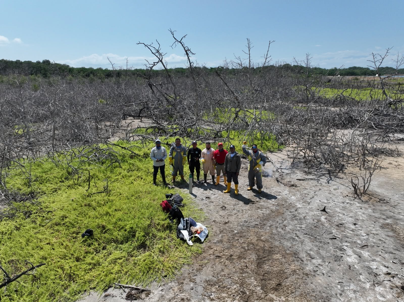 Salvaguardar Vidas y Proteger la Fauna, Nuestro Compromiso