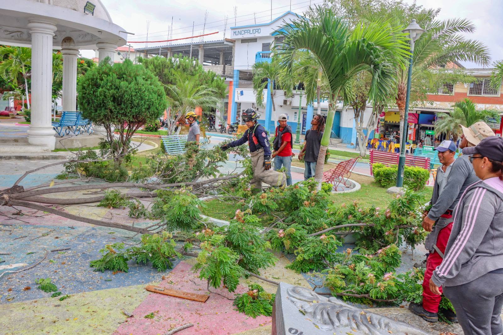 Ejecución de Trabajos de Poda Preventiva en la Plaza Cívica